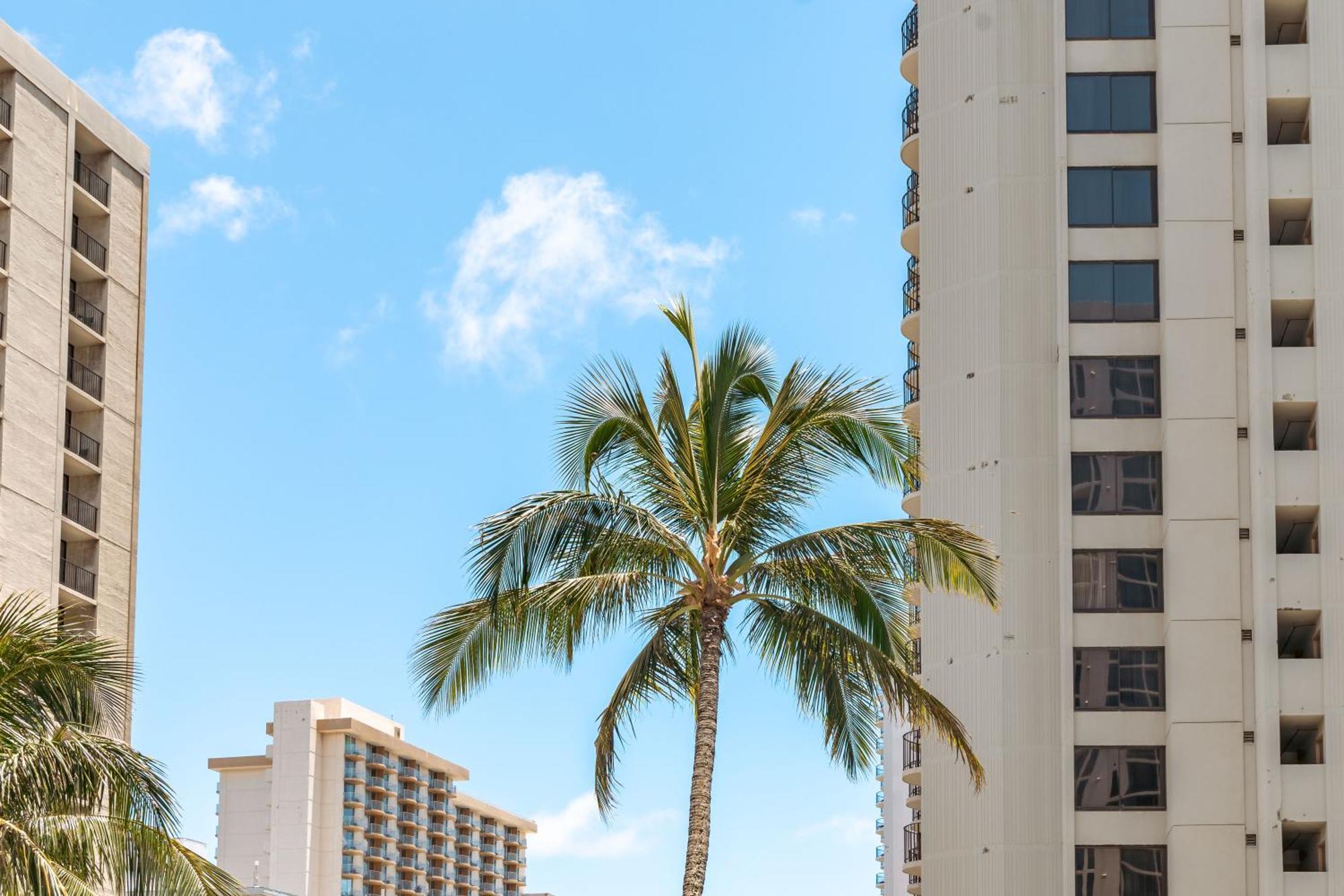 1Br With Great Ocean Views, 1 Block To Waikiki Beach Honolulu Exterior foto